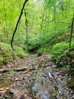000 Beulah Land Way sold home in Woodall Mnt, Pickens, SC
