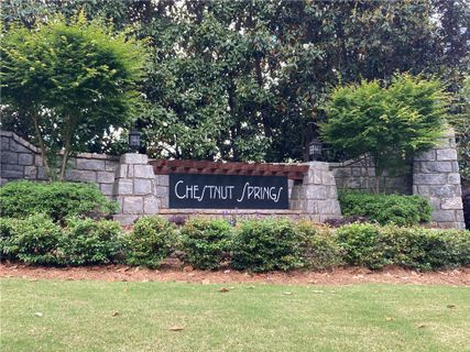 219 Chestnut Springs Way