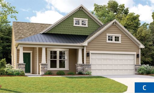 507 Brasstown Court