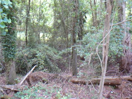 803 Canterbury Road sold home in Woodland Height, Anderson, SC