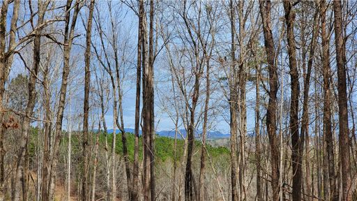 0 Cliff Shore Parkway