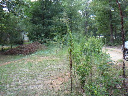 435 Gibson Road
