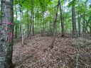 Lot 30 Sourwood Bench Court sold home in Salem, SC