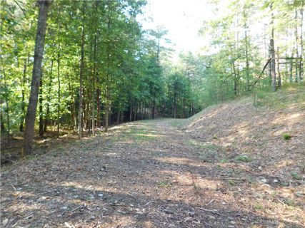 165 Arrow Leaf Lane
