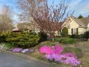 175 Grand Oak Circle sold home in Pendleton, SC