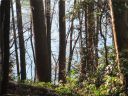Lot 15 F Cherokee Ridge Road sold home in Tamassee, SC
