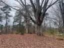 Lot 3 Linn Garden Way sold home in West Union, SC