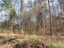 0 Mountain View Drive sold home in Lavonia, SC