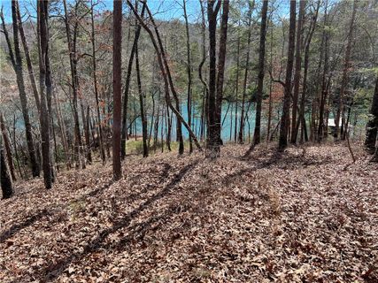 9 Bear Creek Valley Court