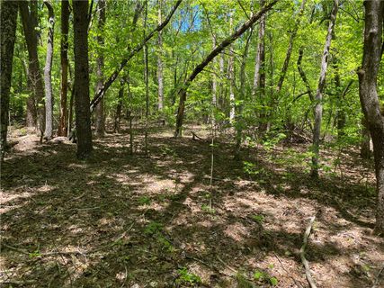 111 Bearpaw Trail