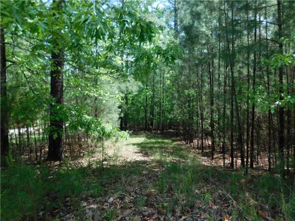 108 Shore Vista Trail