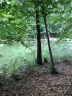0 Capri Drive sold home in Hartwell, SC