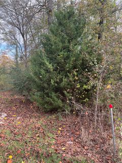 115 Arrowood Circle sold home in Avondale, Seneca, SC