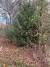 115 Arrowood Circle sold home in Seneca, SC