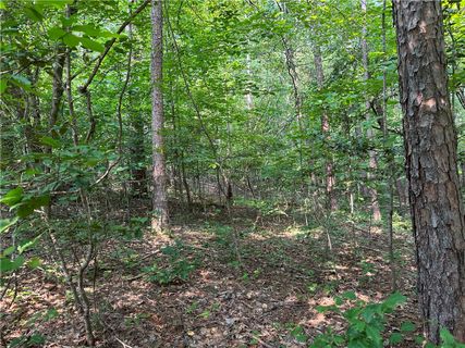 Lot 279 Waterside Cross/ Yellowood Drive