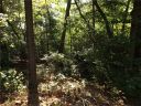 210 Cherokee Hills Drive sold home in Pickens, SC