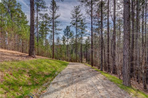 Lot 19 Grays Peak Drive