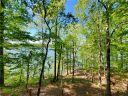 Lot 6 Horseshoe Bend Drive sold home in Westminster, SC