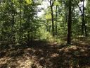 104 Bridle Drive sold home in Cleveland, SC