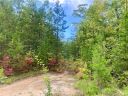 Lot 19 Falcons Lair Drive sold home in Walhalla, SC