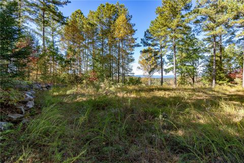 722 Eagle'S Ridge Way
