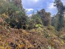 00 Dogwood Drive sold home in Belton, SC