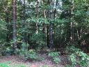 231 Bay View, Lot 8 Drive sold home in Salem, SC