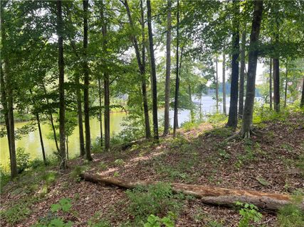 0 Lot 22 Waterside Point active home in Great Waters, Abbeville, SC