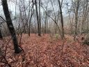 Lot 20 Old Shallowford Bridge Road sold home in Sunset, SC