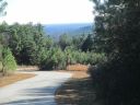 S-25 Jocassee Ridge Way sold home in Salem, SC