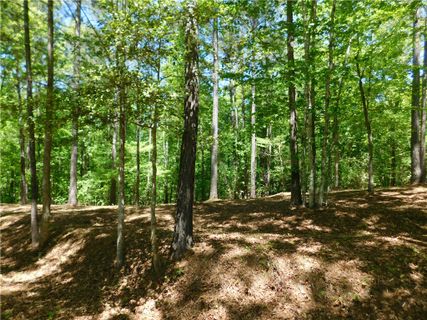 Lot 47 Cliffs South Parkway