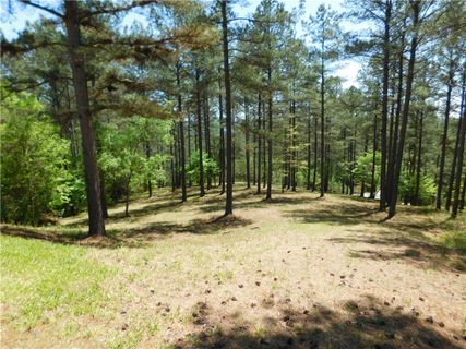 305 Knollwood Drive