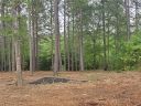 Lot 64 Harbor Point sold home in Seneca, SC