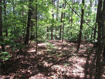 221 River Bliff Road sold home in River Bluff, Cleveland, SC