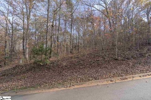 Lot 49 Overlook Drive