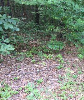 Lot 33 Den Ridge Drive