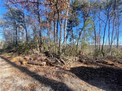 Homes in Lake Cherokee, Tamassee