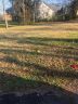 313 I Street sold home in Anderson, SC