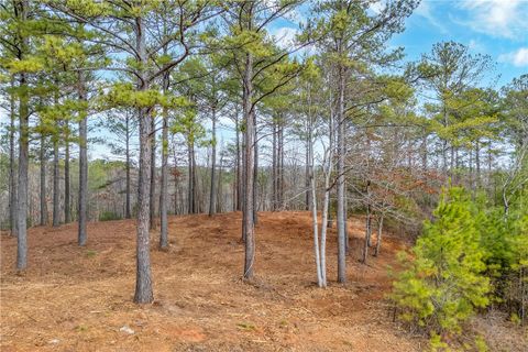321 Golden Bear Drive