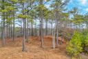 321 Golden Bear Drive sold home in Sunset, SC