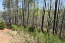 154 Bailey Street sold home in Six Mile, SC