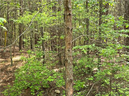 117 Pleasant Valley Drive sold home in High Creek Acres, Anderson, SC