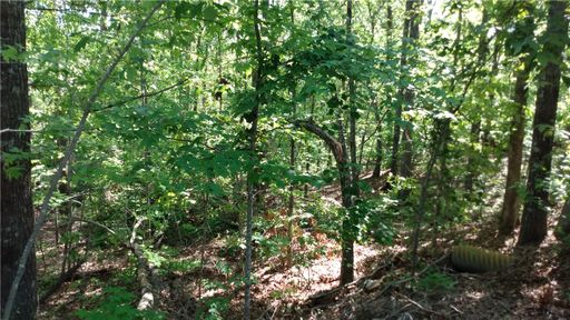 237 Bay View Drive sold home in Bay Ridge, Salem, SC