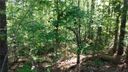 237 Bay View Drive sold home in Salem, SC