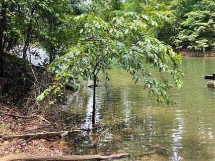 Lot 1682 Point Road