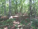 205 Gauley Falls Road sold home in Pickens, SC