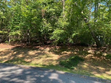 41 Turtle Head Drive sold home in Turtlehead, Salem, SC
