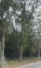 1209 Reed Road sold home in Anderson, SC