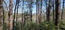 116 Sweetshrub Way sold home in Sunset, SC