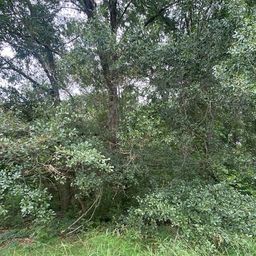 Lot 102 Grand Oak Circle